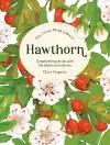 The Little Wild Library: Hawthorn cover