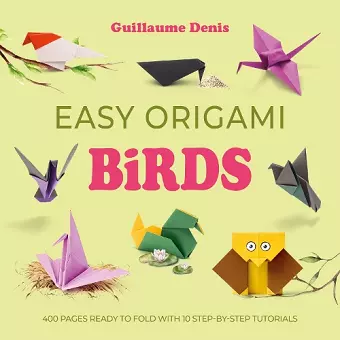 Easy Origami Birds cover