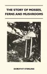 The Story Of Mosses, Ferns And Mushrooms cover