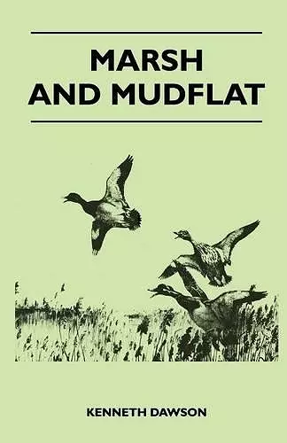 Marsh and Mudflat cover