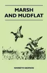 Marsh and Mudflat cover