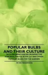 Popular Bulbs and Their Culture - With Information on Growing the Hyacinth, the Tulip, the Lily and Other Popular Bulbs for the Garden cover