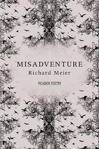 Misadventure cover