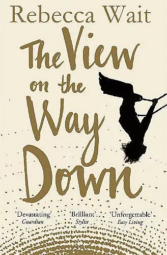 The View on the Way Down cover