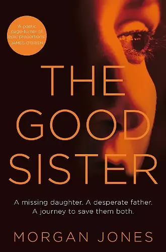 The Good Sister cover