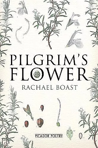 Pilgrim's Flower cover