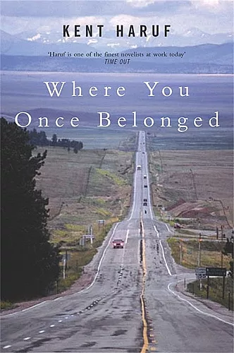 Where You Once Belonged cover