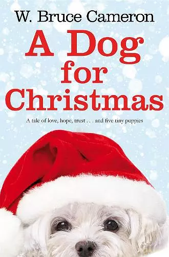 A Dog for Christmas cover