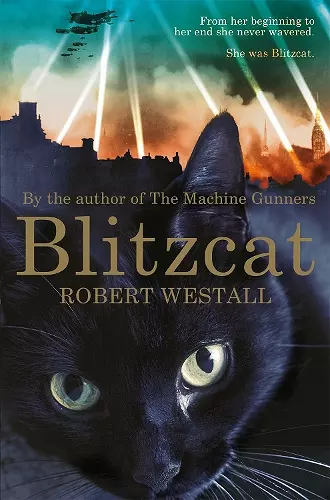 Blitzcat cover