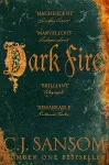 Dark Fire cover