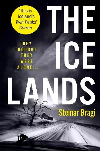 The Ice Lands cover