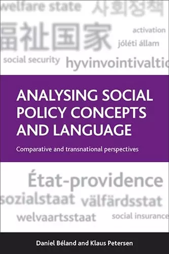 Analysing Social Policy Concepts and Language cover