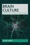 Brain Culture cover