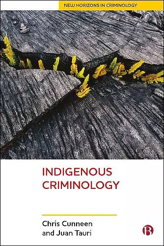 Indigenous Criminology cover