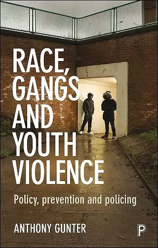 Race, Gangs and Youth Violence cover