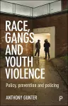 Race, Gangs and Youth Violence cover