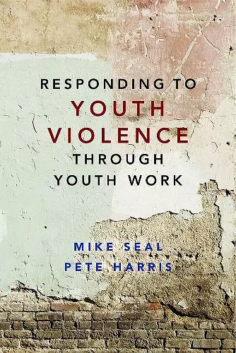 Responding to Youth Violence through Youth Work cover