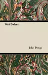 Wolf Solent cover