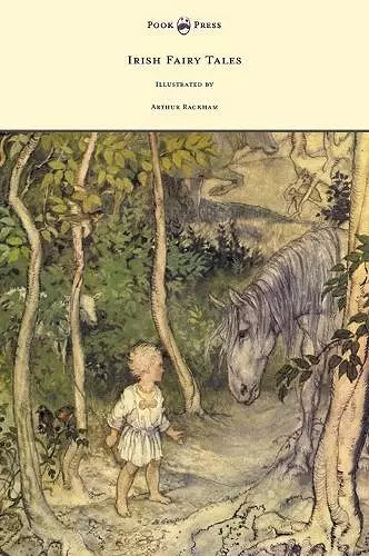 Irish Fairy Tales - Illustrated by Arthur Rackham cover