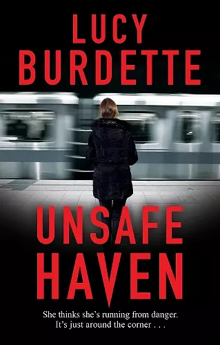 Unsafe Haven cover