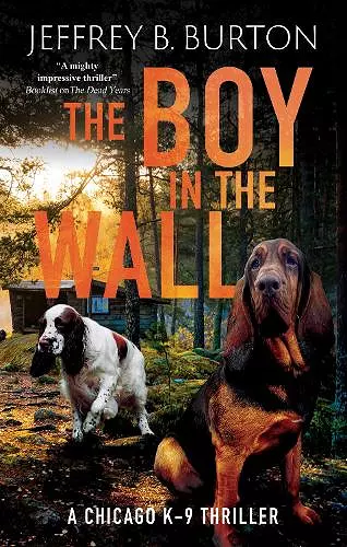 The Boy in the Wall cover