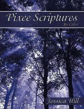 Pixee Scriptures cover