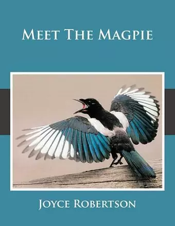 Meet The Magpie cover