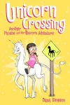 Unicorn Crossing cover