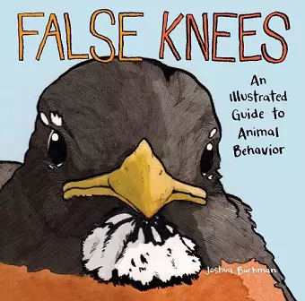 False Knees cover