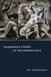 Dangerous Sisters of the Hebrew Bible cover