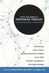 Recent Developments in Trinitarian Theology cover