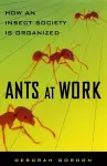 Ants At Work cover