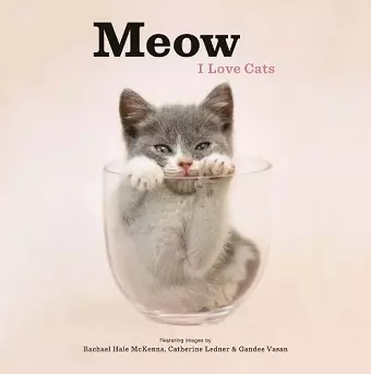 Meow: I Love Cats cover