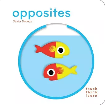 Touchthinklearn: Opposites cover