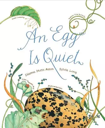 An Egg Is Quiet cover