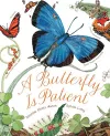 A Butterfly Is Patient cover