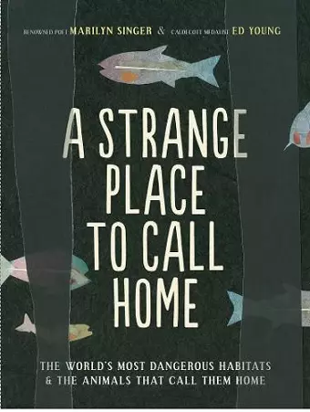 A Strange Place to Call Home cover