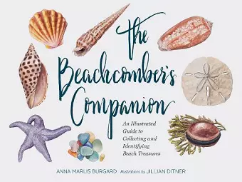 Beachcomber's Companion cover