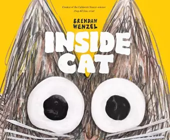 Inside Cat cover