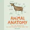 Animal Anatomy cover