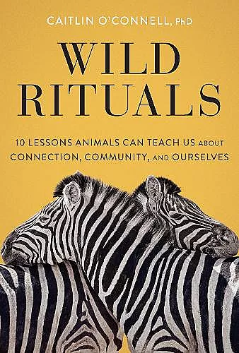 Wild Rituals cover