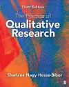 The Practice of Qualitative Research cover