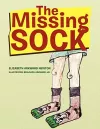 The Missing Sock cover