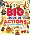 Big Book of Actions cover