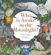Who Is Awake in the Moonlight? cover