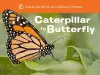 Caterpillar to Butterfly cover