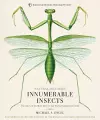 Innumerable Insects cover