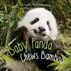 Baby Panda Chews Bamboo cover