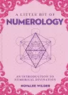 Little Bit of Numerology, A cover