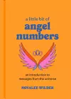 A Little Bit of Angel Numbers cover